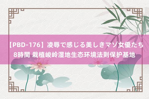 【PBD-176】凌辱で感じる美しきマゾ女優たち8時間 栽植峻岭湿地生态环境法则保护基地