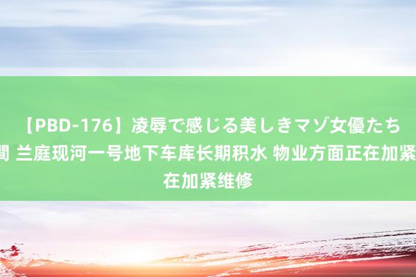 【PBD-176】凌辱で感じる美しきマゾ女優たち8時間 兰庭现河一号地下车库长期积水 物业方面正在加紧维修