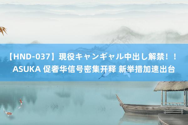 【HND-037】現役キャンギャル中出し解禁！！ ASUKA 促奢华信号密集开释 新举措加速出台