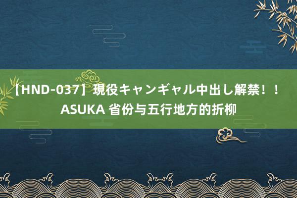 【HND-037】現役キャンギャル中出し解禁！！ ASUKA 省份与五行地方的折柳