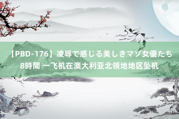 【PBD-176】凌辱で感じる美しきマゾ女優たち8時間 一飞机在澳大利亚北领地地区坠机