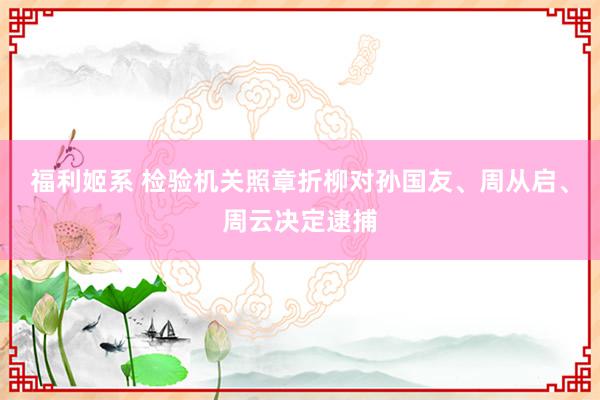 福利姬系 检验机关照章折柳对孙国友、周从启、周云决定逮捕