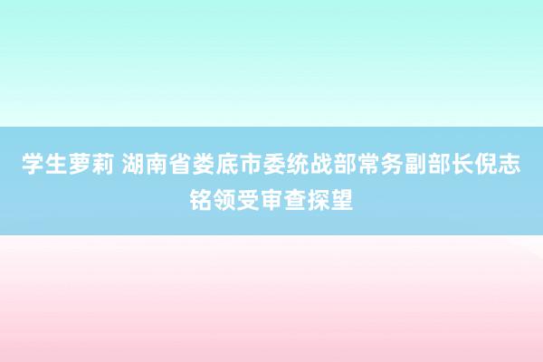 学生萝莉 湖南省娄底市委统战部常务副部长倪志铭领受审查探望