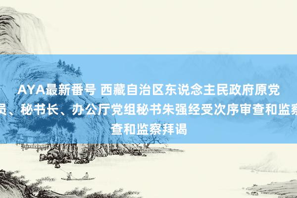 AYA最新番号 西藏自治区东说念主民政府原党构成员、秘书长、办公厅党组秘书朱强经受次序审查和监察拜谒