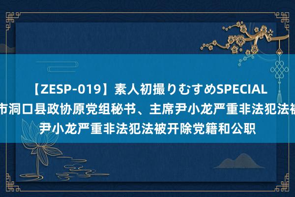 【ZESP-019】素人初撮りむすめSPECIAL Vol.3 湖南邵阳市洞口县政协原党组秘书、主席尹小龙严重非法犯法被开除党籍和公职