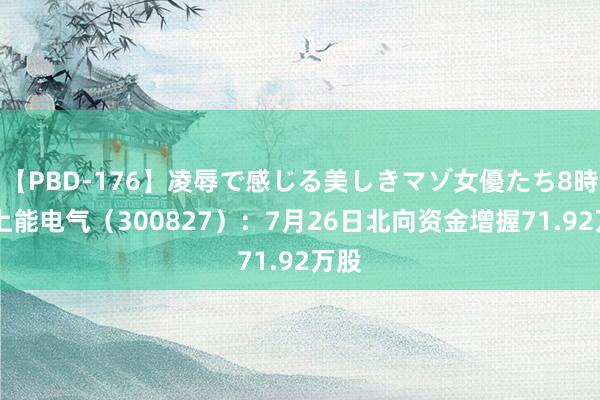 【PBD-176】凌辱で感じる美しきマゾ女優たち8時間 上能电气（300827）：7月26日北向资金增握71.92万股