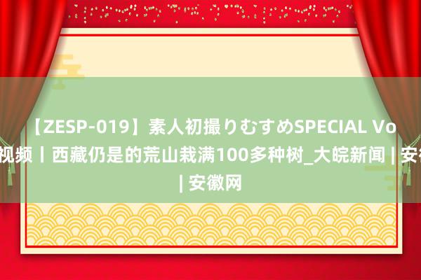 【ZESP-019】素人初撮りむすめSPECIAL Vol.3 视频丨西藏仍是的荒山栽满100多种树_大皖新闻 | 安徽网