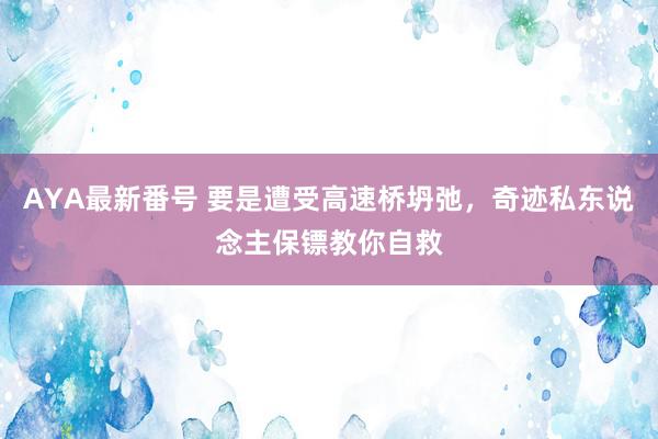 AYA最新番号 要是遭受高速桥坍弛，奇迹私东说念主保镖教你自救