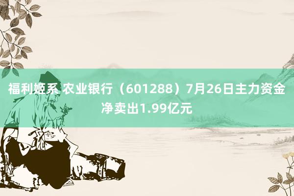 福利姬系 农业银行（601288）7月26日主力资金净卖出1.99亿元