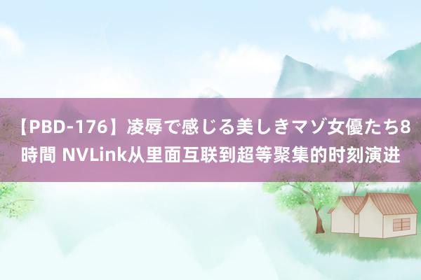 【PBD-176】凌辱で感じる美しきマゾ女優たち8時間 NVLink从里面互联到超等聚集的时刻演进