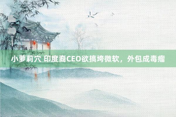 小萝莉穴 印度裔CEO欲搞垮微软，外包成毒瘤