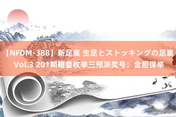 【NFDM-388】新足裏 生足とストッキングの足裏 Vol.3 201期暗皇枚举三预测奖号：金胆保举