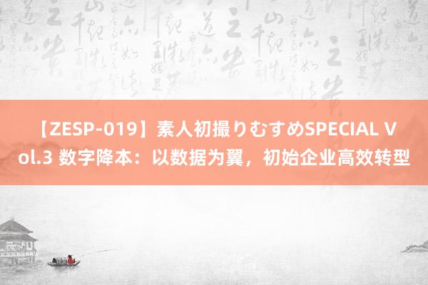 【ZESP-019】素人初撮りむすめSPECIAL Vol.3 数字降本：以数据为翼，初始企业高效转型