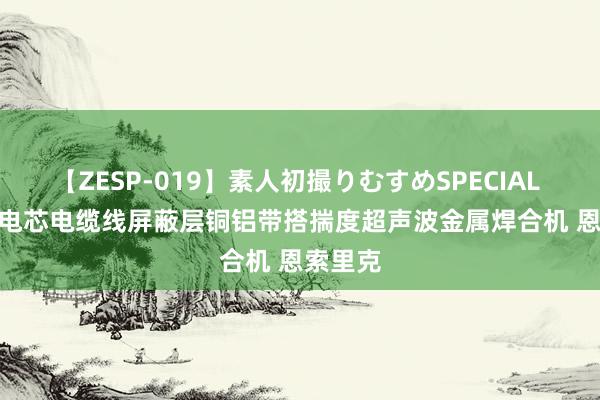 【ZESP-019】素人初撮りむすめSPECIAL Vol.3 电芯电缆线屏蔽层铜铝带搭揣度超声波金属焊合机 恩索里克