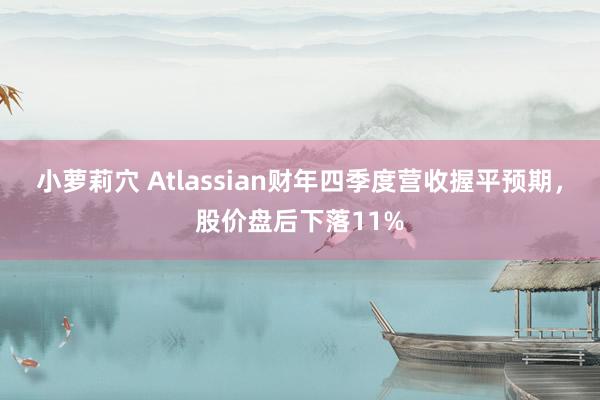 小萝莉穴 Atlassian财年四季度营收握平预期，股价盘后下落11%