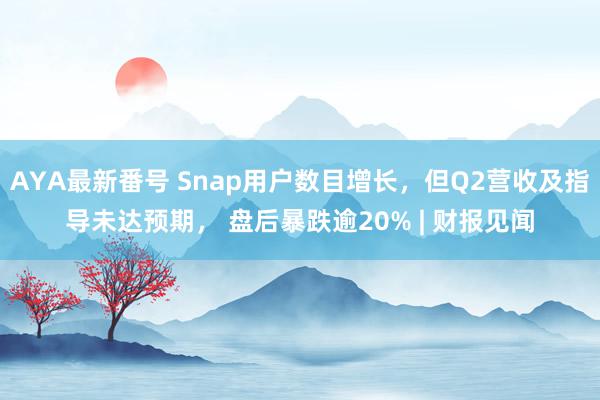 AYA最新番号 Snap用户数目增长，但Q2营收及指导未达预期， 盘后暴跌逾20% | 财报见闻