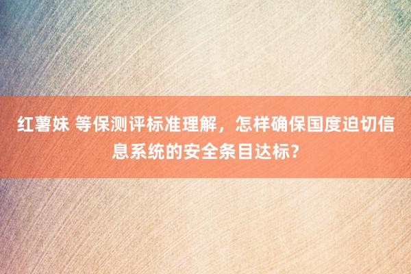 红薯妹 等保测评标准理解，怎样确保国度迫切信息系统的安全条目达标？