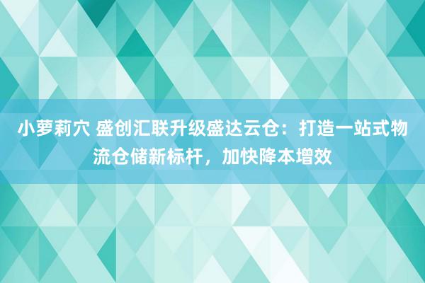 小萝莉穴 盛创汇联升级盛达云仓：打造一站式物流仓储新标杆，加快降本增效