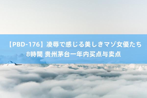 【PBD-176】凌辱で感じる美しきマゾ女優たち8時間 贵州茅台一年内买点与卖点