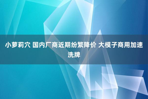 小萝莉穴 国内厂商近期纷繁降价 大模子商用加速洗牌