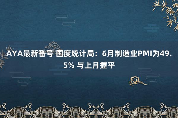 AYA最新番号 国度统计局：6月制造业PMI为49.5% 与上月握平