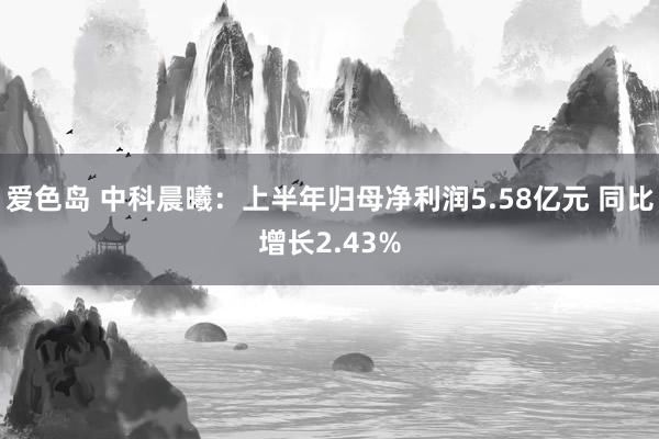 爱色岛 中科晨曦：上半年归母净利润5.58亿元 同比增长2.43%