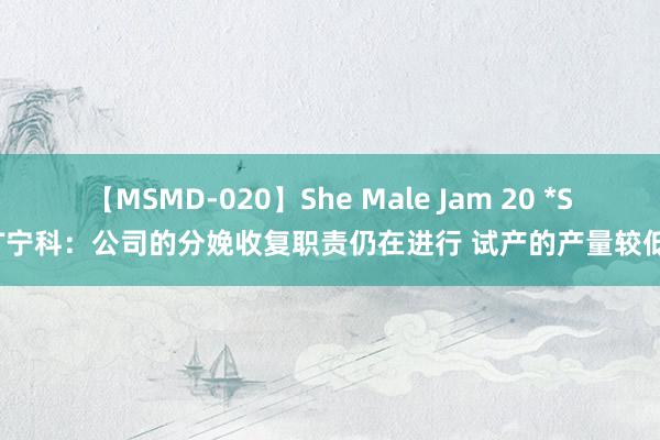 【MSMD-020】She Male Jam 20 *ST宁科：公司的分娩收复职责仍在进行 试产的产量较低