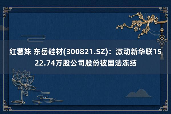 红薯妹 东岳硅材(300821.SZ)：激动新华联1522.74万股公司股份被国法冻结