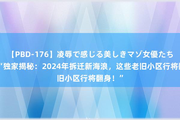 【PBD-176】凌辱で感じる美しきマゾ女優たち8時間 “独家揭秘：2024年拆迁新海浪，这些老旧小区行将翻身！”