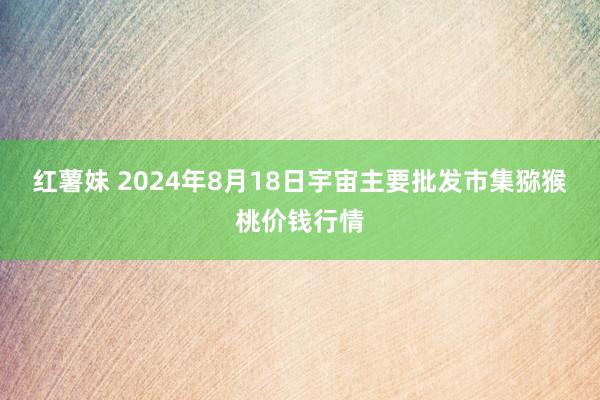 红薯妹 2024年8月18日宇宙主要批发市集猕猴桃价钱行情