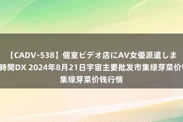 【CADV-538】個室ビデオ店にAV女優派遣します。8時間DX 2024年8月21日宇宙主要批发市集绿芽菜价钱行情