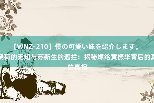 【WNZ-210】僕の可愛い妹を紹介します。 白晓荷的无知与苏新生的遮拦：揭秘嫁给黄振华背后的真相