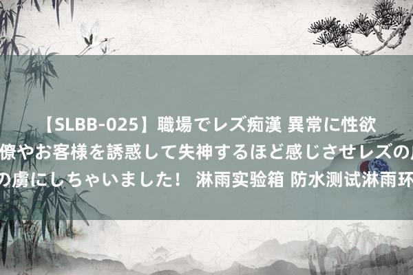 【SLBB-025】職場でレズ痴漢 異常に性欲の強い私（真性レズ）同僚やお客様を誘惑して失神するほど感じさせレズの虜にしちゃいました！ 淋雨实验箱 防水测试淋雨环境实验箱 自动高压喷水