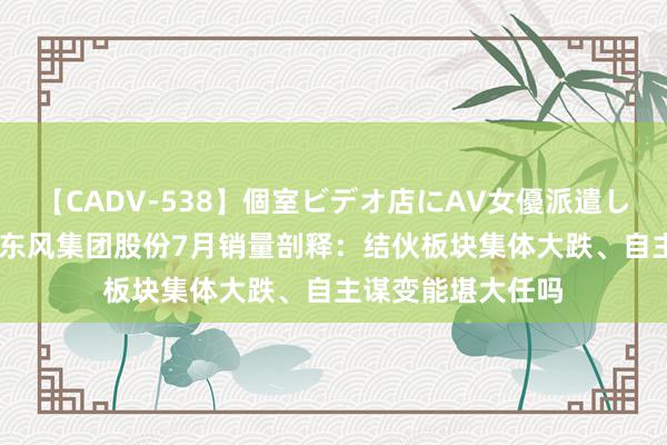 【CADV-538】個室ビデオ店にAV女優派遣します。8時間DX 东风集团股份7月销量剖释：结伙板块集体大跌、自主谋变能堪大任吗