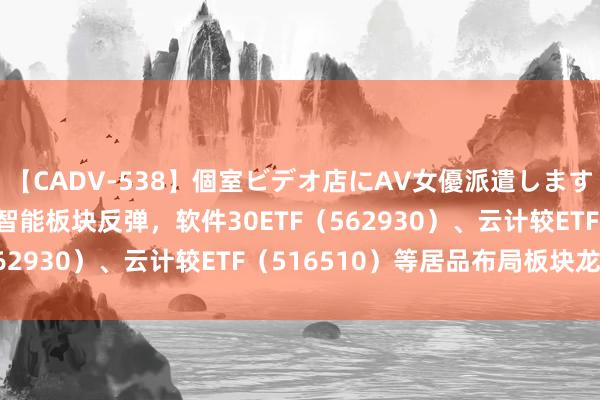 【CADV-538】個室ビデオ店にAV女優派遣します。8時間DX 东谈主工智能板块反弹，软件30ETF（562930）、云计较ETF（516510）等居品布局板块龙头