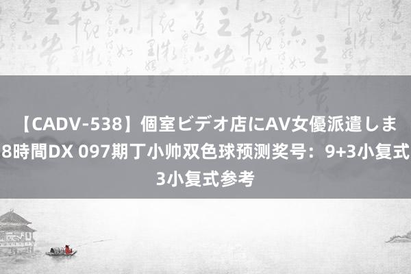 【CADV-538】個室ビデオ店にAV女優派遣します。8時間DX 097期丁小帅双色球预测奖号：9+3小复式参考