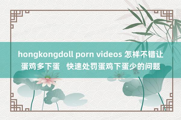 hongkongdoll porn videos 怎样不错让蛋鸡多下蛋   快速处罚蛋鸡下蛋少的问题