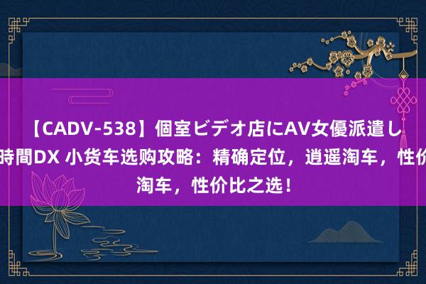 【CADV-538】個室ビデオ店にAV女優派遣します。8時間DX 小货车选购攻略：精确定位，逍遥淘车，性价比之选！